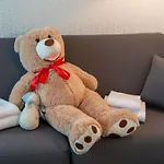 Mercure President 비아히쯔